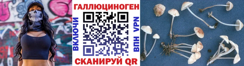 Галлюциногенные грибы мицелий Сусуман
