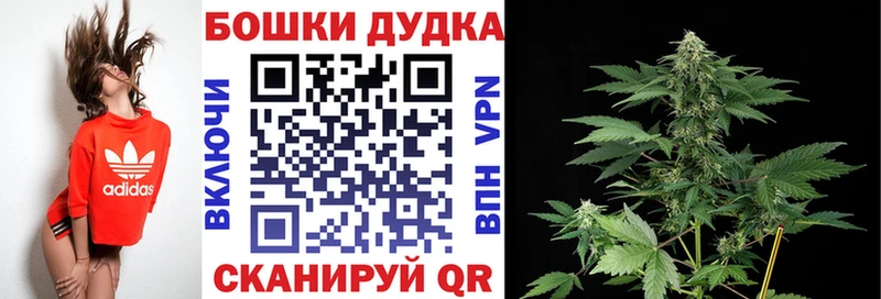 Конопля план Сусуман